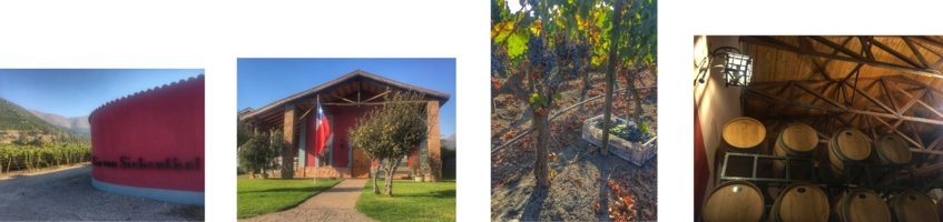 Chile - Amanda - Wine Paths